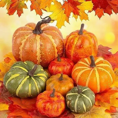 Produktbild von Herbstdekorations-Set aus Kunststoff mit Ahornblättern