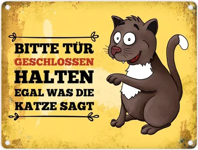 Produktbild von Metallschild mit Katze Motiv und Spruch: Bitte Tür geschlossen halten, ...