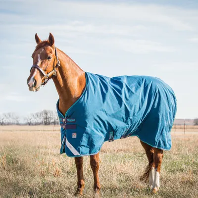 Produktbild von Horseware Rhino Original Turnout Medium Vari Layer 250g - Navy/Grey, 125