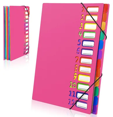 Obrázok produktu pre Organizér A4 s 12 priečinkami na dokumenty