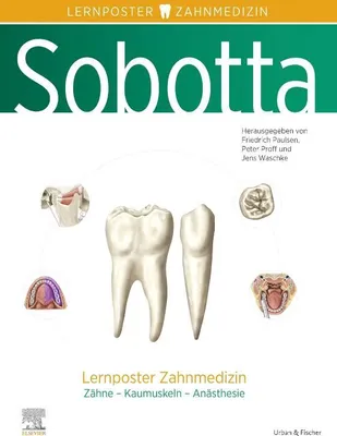 Produktbild von Sobotta Lernposter Zahnmedizin