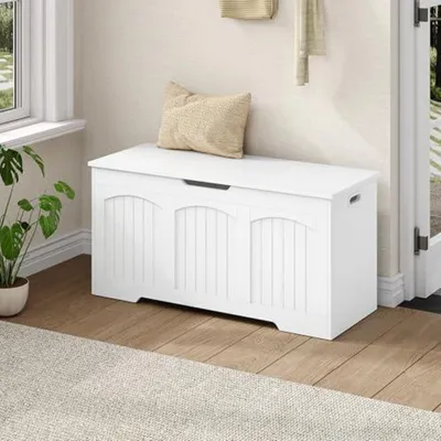Immagine prodotto di Panca con spazio contenitore, modello baule, 100 x 40 x 48 cm, colore bianco