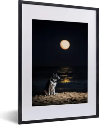 Produktbild von MuchoWow® MuchoWow® Gerahmtes Poster Ein Porträt eines Border Collie mit Vollmond 30x40 cm - Poster mit zchwarzem Bilderrahmen - Wandposter Schlafzimmer