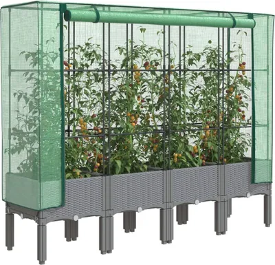 A raised garden bed with a greenhouse cover, containing tomato plants.