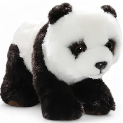 Zdjęcie produktu dla Carl Dick panda ok. 25 cm 2437 przytulanka, miękka zabawka, pluszowe zwierzę