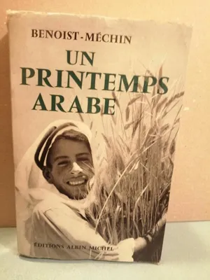 Image de Un printemps arabe