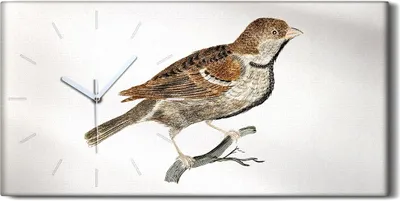 Produktbild von Dekor Leinwand Uhr Wandbilder Geräuschlos 60x30 Zeichnung Tier Vogel Zweig Kunst - weiße Hände