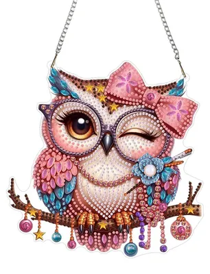 Immagine prodotto di Set per creare decorazioni per finestre con tecnica diamond painting, a forma di gufo, ideali come "suncatcher". Kit per adulti e principianti
