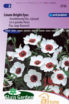 Produktbild von Linum Bright Eyes Samen, großblütiger Flachs – Linum Bright Eyes Seeds, Large Flowered Flax – Graines de Lin à Grandes Fleurs Bright Eyes