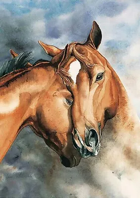 Image de Peinture par numéros : Chevaux