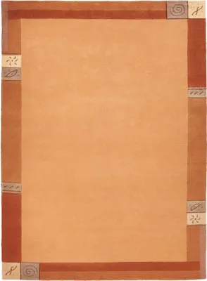 A flat lay image of a rectangular rug with a patterned border.
