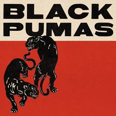 Immagine prodotto di Black Pumas - Black Pumas (Edizione Deluxe) (2 CD)