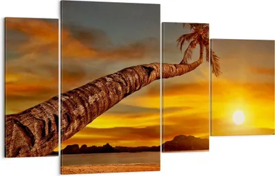 Produktbild von Bild auf Leinwand - Leinwandbild - Palme Landschaft Sonne - 120x70cm - Wand Bild - Wanddeko - Leinwanddruck - Bilder - Kunstdruck - Wanddekoration - Leinwand bilder - Wandkunst - DL120x70-0162