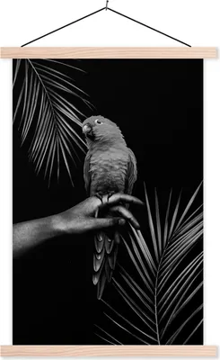 Produktbild von MuchoWow® Textilposter Vogel vor schwarzem Hintergrund - schwarz und weiß 120x180 cm mit holzfarbenen Rahmen - Textil-Plakat