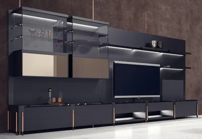 Image de Casa Padrino Luxe Armoire TV Matt Noir / Noir / Cuivre 452 x 47 x H. 202 cm - Armoire de salon avec éclairage LED - Meubles de salon - Meubles d'hôtel - Meubles de luxe