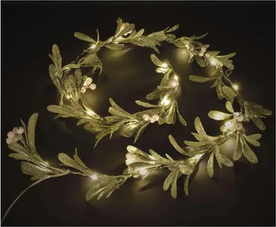 Obrázok produktu pre EMOS LED vianočná girlanda imelo 1,5m DCTW27