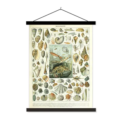 Produktbild von MuchoWow® Textilposter Meerestiere - Muschel - Vintage - Meer - Adolphe Millot 40x53 cm mit schwarzem Rahmen - Abbildung
