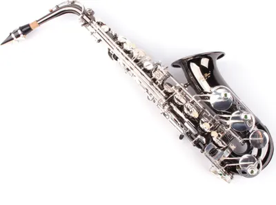 Produktbild von K.Glaser Alt Saxophon KG 275 NA schwarz vernickelt versilberte Klappen