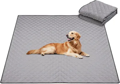 Image de Tapis d'entraînement pour chiens, 143 x 143 cm, gris, lavable, imperméable, idéal pour les chiots