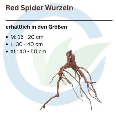 Produktbild von Red Spider Wurzel M 15-20 cm