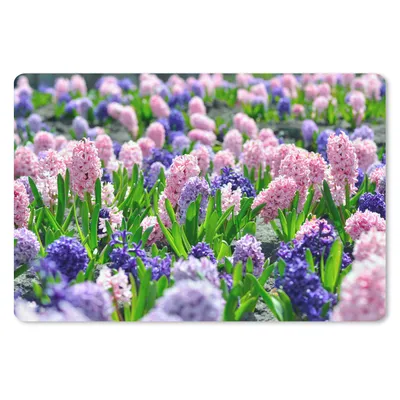 Produktbild von MuchoWow® Mauspad Mousepad Hyazinthe - Farben - Frühling 27x18 cm - Mousepads - Maus Mat - Pad - Mausunterlage - Büroartikel - Desk Matten