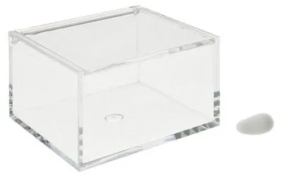 Plexiglas-Dose 10x10x6 cm transparent spülmaschinenfest