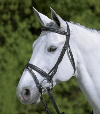 Produktbild von Waldhausen Trensenzaum Star Diamond Schwarz Pony