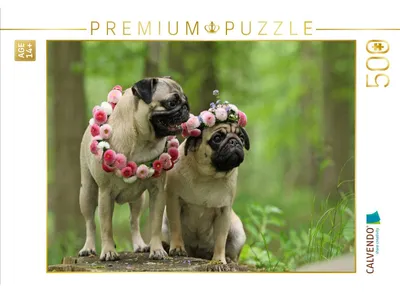 Produktbild von CALVENDO Puzzle Waldmopsmädchen | 500 Teile Lege-Größe 48 × 36 cm Foto-Puzzle für Erwachsene