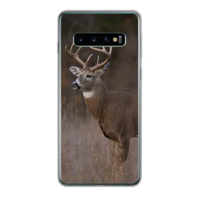 Produktbild von MuchoWow® Handyhülle Schutzhülle Hülle für Samsung Galaxy S10 Herbst - Hirsche - Gras - Natur - Tiere Silikon Softcase Handy Hülle - Handytasche