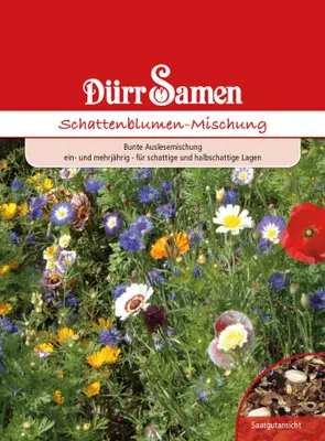 Produktbild von Schattenblume Mischung | Schattenblumensamen von Dürr Samen