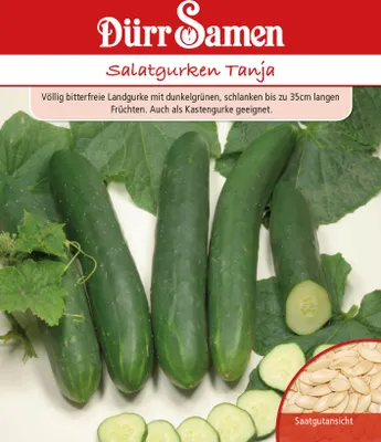 Artikelbild 1 von 'Salatgurke Tanja' aus der Kategorie Salatgurkensamen