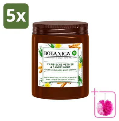 Obrázok produktu pre 5 sviečok Botanica od Air Wick – vôňa vetiveru a santalového dreva – balenie s 5 kusmi