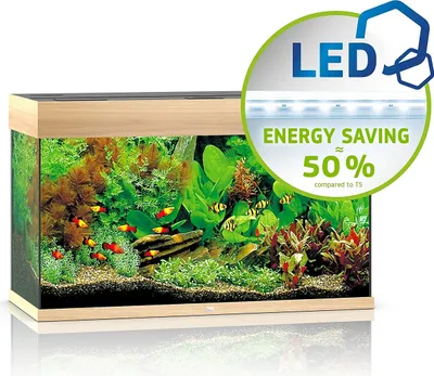 Produktbild von JUWEL Aquarium Rio 125 inkl. LED-Beleuchtung, Pumpe, Filter und Heizer, helles Holz