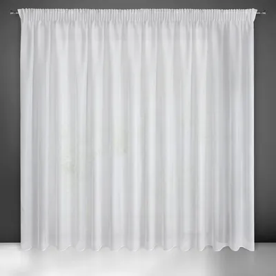 Produktbild von Eurofirany 439520, Durchscheinend, Weiß, Einfarbig, Polyester, Aufhängungshaken, 50 g/m²