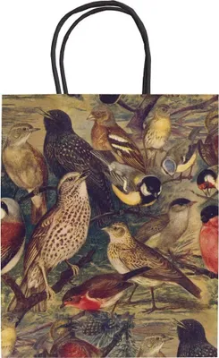 Obrázek produktu pro Dárková papírová taška Birds