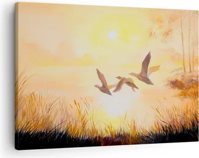 Produktbild von Bild auf Leinwand - Leinwandbild - Vogel Natur Wasser - 70x50cm - Wand Bild - Wanddeko - Wandbilder - Leinwanddruck - Bilder - Kunstdruck - Wanddekoration - Leinwand bilder - Wandkunst - AA70x50-3686