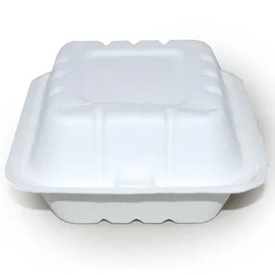 Image de 10x NATUREStar 41224Menüboxen mit Klappdeckel quadratisch 230 x 230 x 85 mm Zuckerrohr weiß Volumen 1300 ml