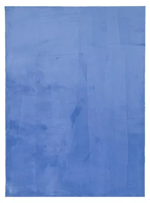 Image de Volero - Tapis Lavable - Bleu Vif - 160x220cm
