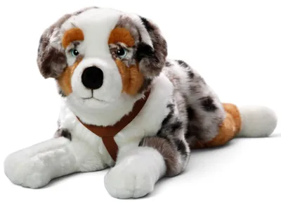 Plüschtier Australischer Schäferhund, 60 cm, mit Geschirr