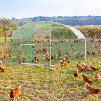 Produktbild von Hühnerstall - Wildtiergehege - Geflügelstall - Tiergehege - Zaunrennen - Verzinkter Stahlrahmen - Wasserdichtes PE-Dach