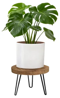 Immagine prodotto di Supporto rotondo in legno per vasi da fiori