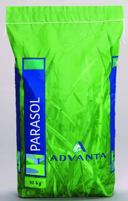 Produktbild von SHADOWGAZON - Grassamen Advanta - Sonnenschirm - 10 kg