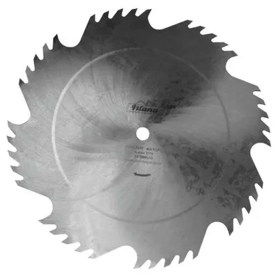A close-up, studio shot of a circular saw blade against a white background.