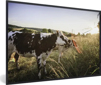 Produktbild von MuchoWow® MuchoWow® Gerahmtes Poster Kühe - Licht - Natur 60x40 cm - Poster mit zchwarzem Bilderrahmen - Printing - Wanddeko Schlafzimmer