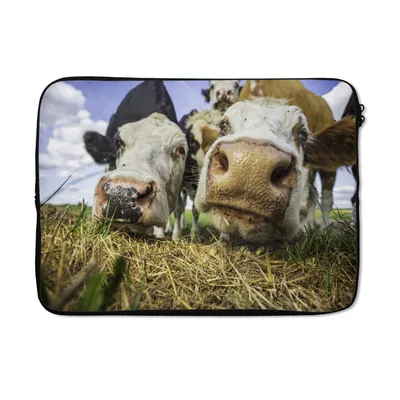 Produktbild von MuchoWow® Laptop Hülle 14 ZollKühe - Heu - Porträt Laptoptasche - Laptoptasche - Stoßsicher - Schutzhaube