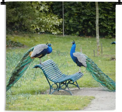 Produktbild von MuchoWow® Wandteppich Wandbehang Pfau - Bank - Park 150x150 cm Tapisserie Dekoration Wandtuch - Wohnaccessoires - Modernes