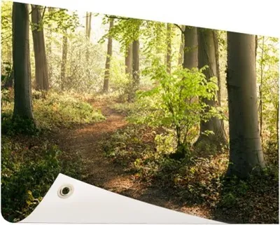 Produktbild von Gartenposter - 120x80 cm - Pfad im Wald Fotodruck  - Modernes Wandbilder - Natur