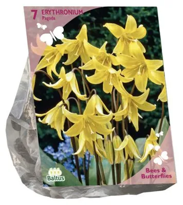Productafbeelding van Bees & Butterflies Erythronium per 7 bloembollen Baltus