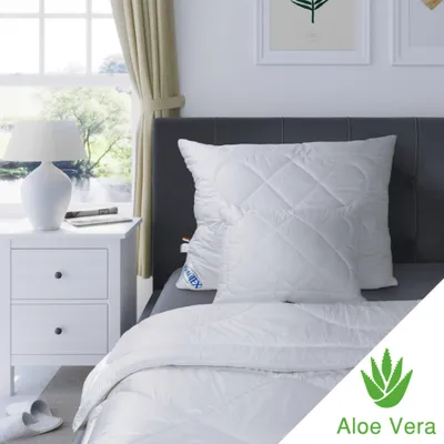 Produktbild von Decken Sie ALOE VERA das ganze Jahr über