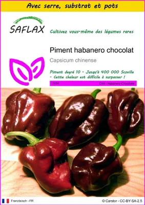 Image de SAFLAX Ensemble de culture - Piment habanero chocolat - 10 graines - Capsicum